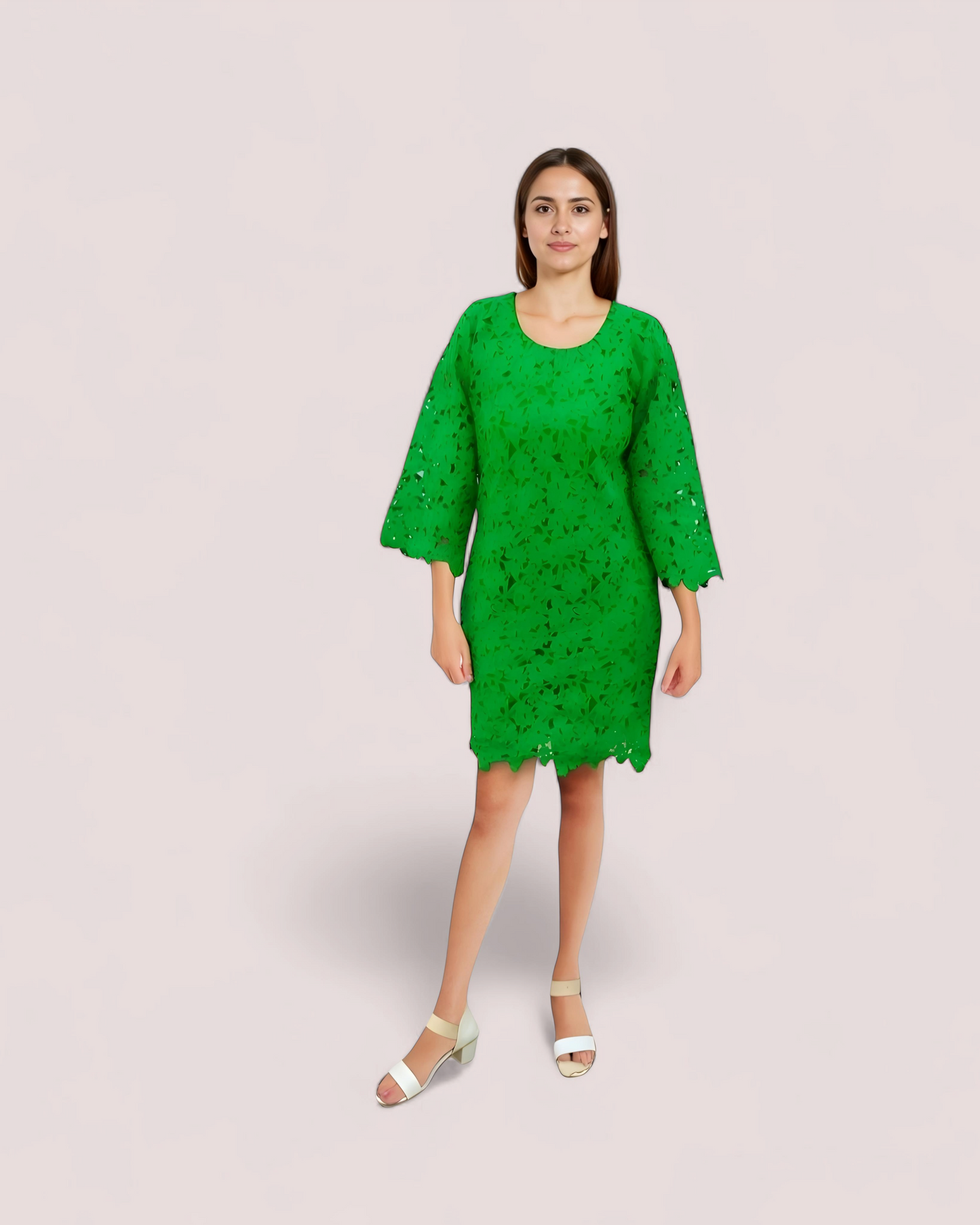 Fern Lace Mini Dress